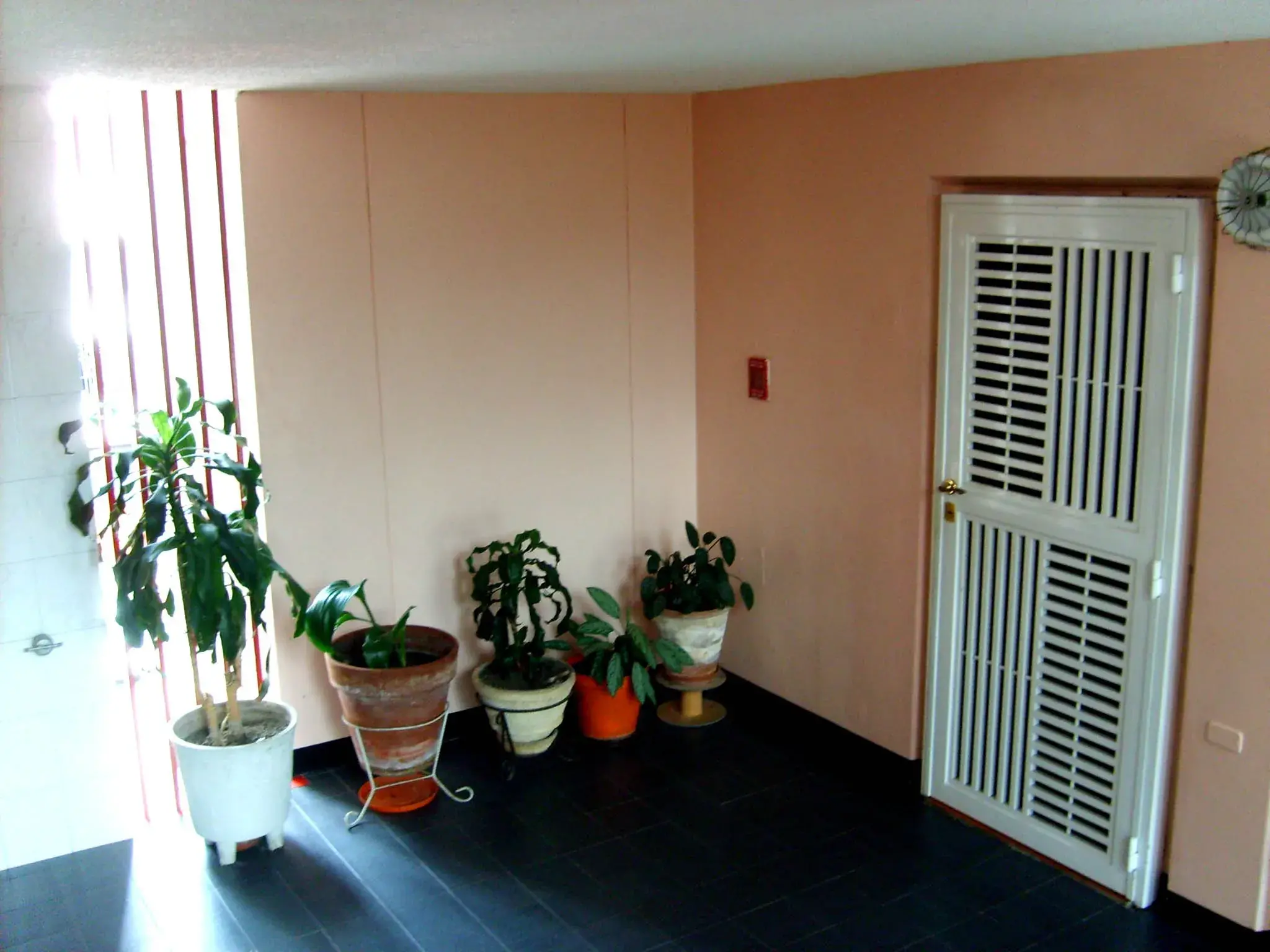 Apartamento para turistas en Merida Venezuela